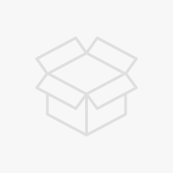 สีทาถนน ไดโน